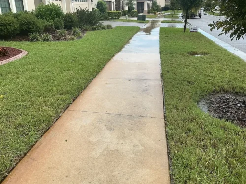 Lawn Services Brandon Fl 10 15 26 115