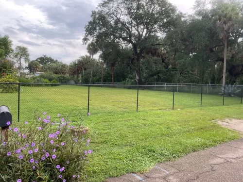 Lawn Services Brandon Fl 10 15 26 116