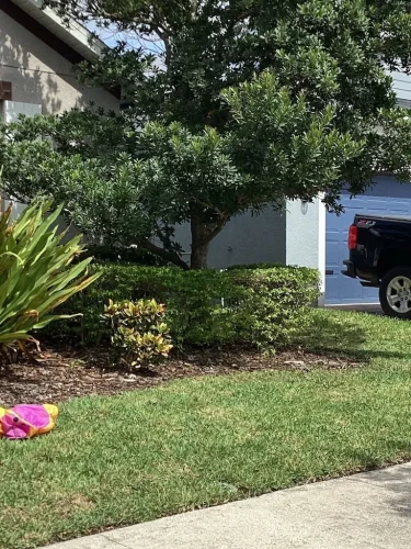 Lawn Services Brandon Fl 10 15 26 126
