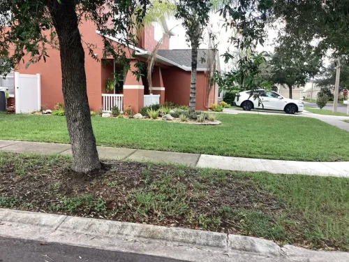 Lawn Services Brandon Fl 10 15 26 128