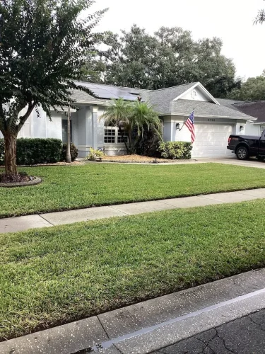 Lawn Services Brandon Fl 10 15 26 134