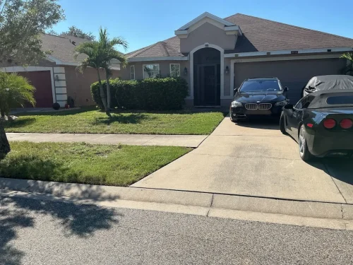 Lawn Services Brandon Fl 10 15 26 135