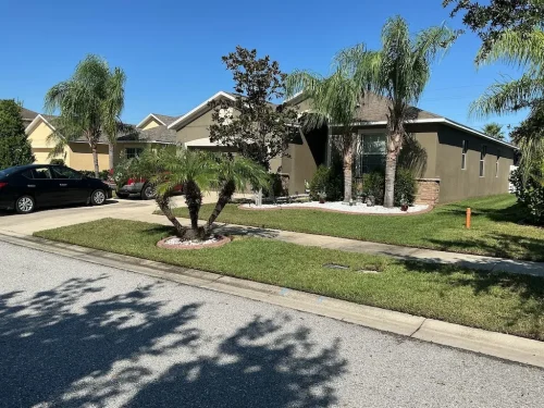 Lawn Services Brandon Fl 10 15 26 88