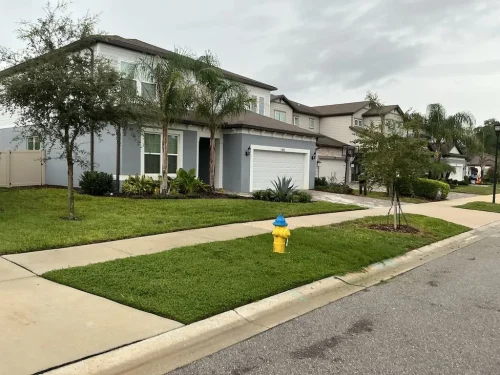 Lawn Services Brandon Fl 10 15 26 90