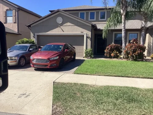 Lawn Services Brandon Fl 10 15 26 91