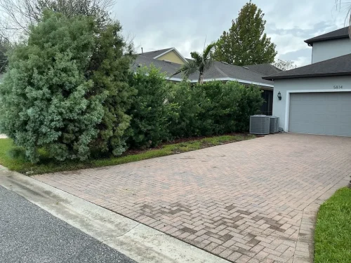 Lawn Services Brandon Fl 10 15 26 99