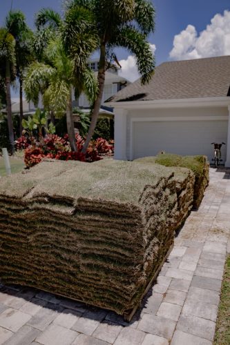 lawn-services-riverview-fl-about-0I4A5889