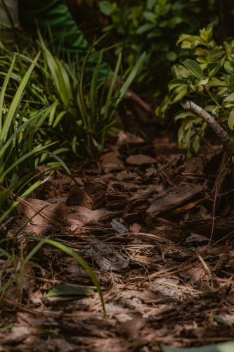 lawn-services-riverview-fl-about-mulch