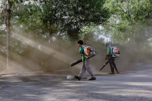 lawn-services-riverview-fl-commercial-services-1