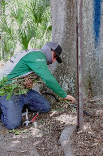 lawn-services-riverview-fl-commercial-services-3