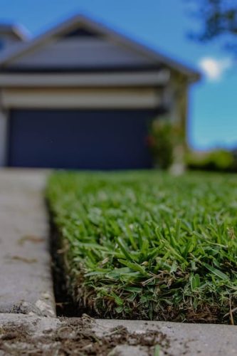 lawn-services-riverview-fl-faq-0I4A3940