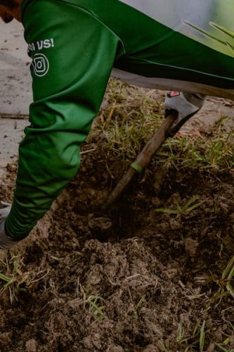 lawn-services-riverview-fl-faq-0I4A8342