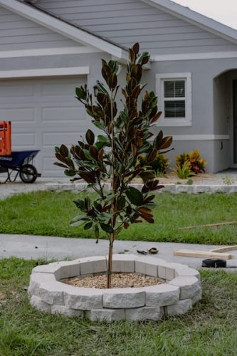 lawn-services-riverview-fl-financing-0I4A0677