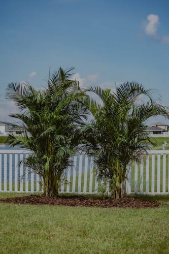 lawn-services-riverview-fl-financing-0I4A0740