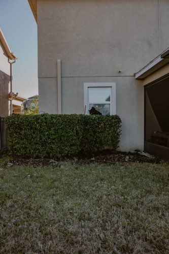 mulch-Apollo-Beach-Fl