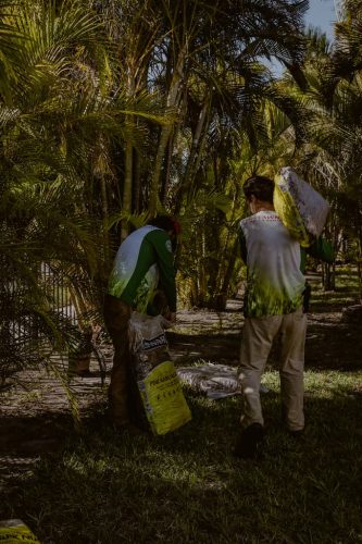 mulch-installation-Apollo-Beach-Fl-2