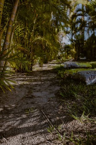 natural-edge-Apollo-Beach-Fl