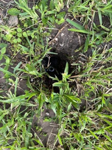 sprinkler-repair-services-in-riverview-fl-irrigation-3