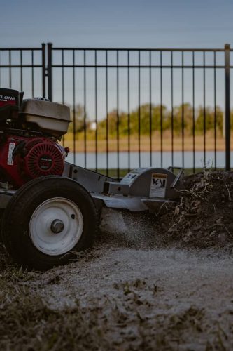 stump-grinding