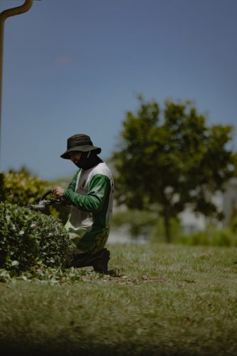 top-lawn-pros-hedge-trimming-0I4A8962