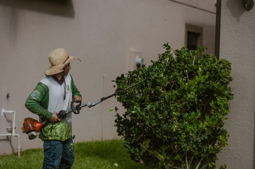 top-lawn-pros-hedge-trimming-0I4A9383