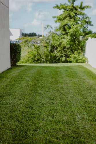 top-lawn-pros-mowing-0I4A1343