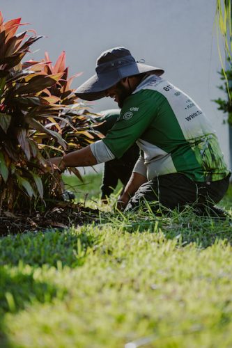 top-lawn-pros-mulching