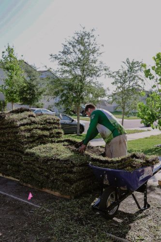 top-lawn-pros-sod-installation-Foto-1-14-23-6-30-05-p.m