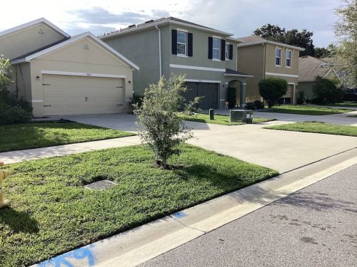 Lawn-Services-Brandon-FL-1001