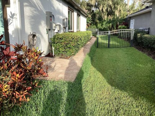 Lawn-Services-Brandon-FL-1007
