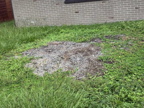Lawn-Services-Brandon-FL-1012