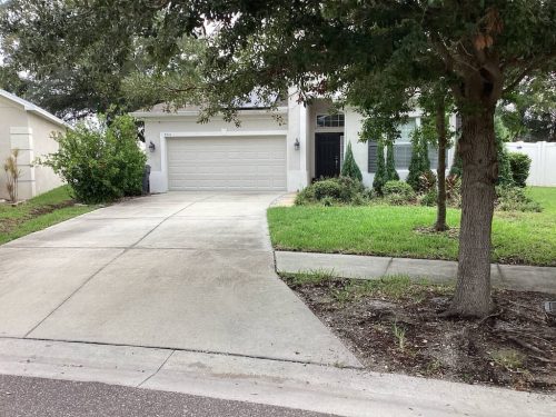 Lawn-Services-Brandon-FL-1015