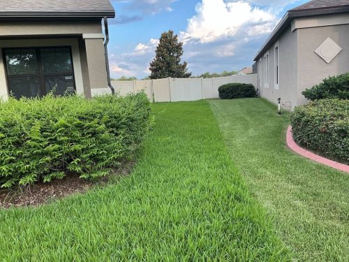 Lawn-Services-Brandon-FL-1023