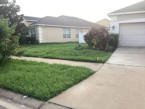 Lawn-Services-Brandon-FL-1030
