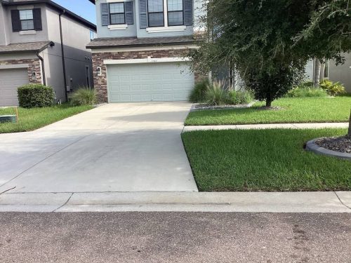 Lawn-Services-Brandon-FL-1031