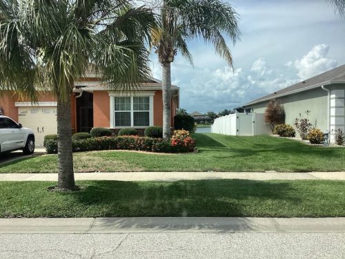 Lawn-Services-Brandon-FL-1036