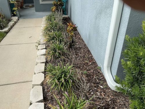 Lawn-Services-Brandon-FL-1037