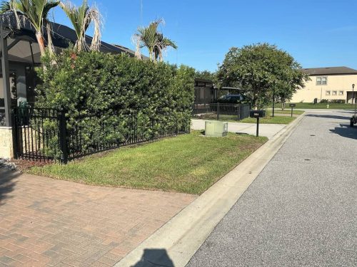 Lawn-Services-Brandon-FL-1038