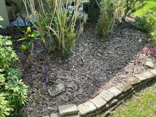 Lawn-Services-Brandon-FL-1040