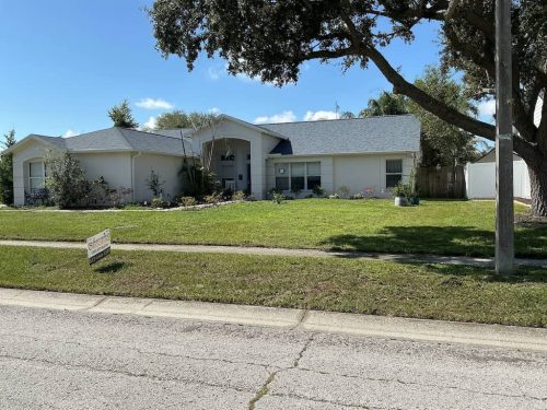 Lawn-Services-Brandon-FL-1044