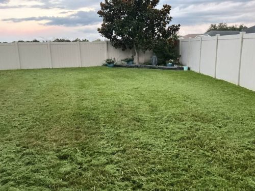 Lawn-Services-Brandon-FL-1047