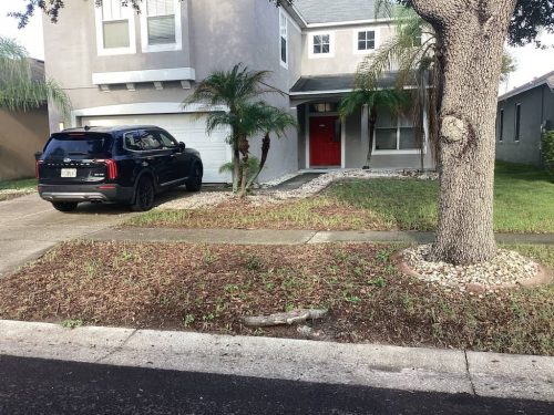Lawn-Services-Brandon-FL-1050