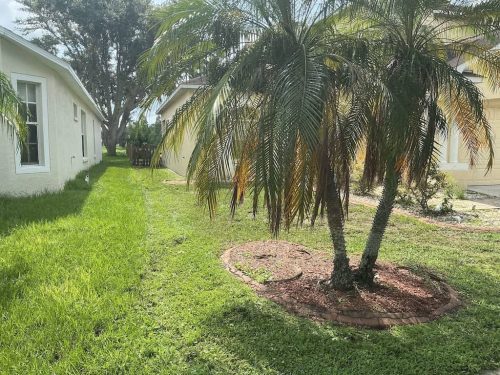 Lawn-Services-Brandon-FL-1051