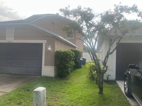 Lawn-Services-Brandon-FL-1054