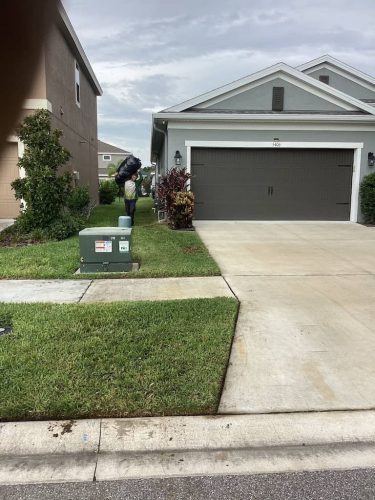 Lawn-Services-Brandon-FL-1059
