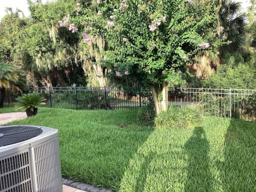 Lawn-Services-Brandon-FL-1060