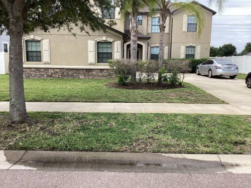 Lawn-Services-Brandon-FL-1064