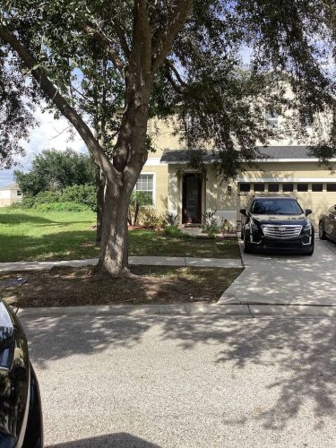 Lawn-Services-Brandon-FL-1068