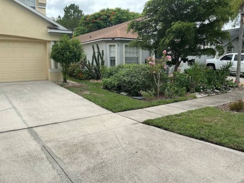 Lawn-Services-Brandon-FL-1069