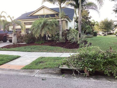 Lawn-Services-Brandon-FL-1070